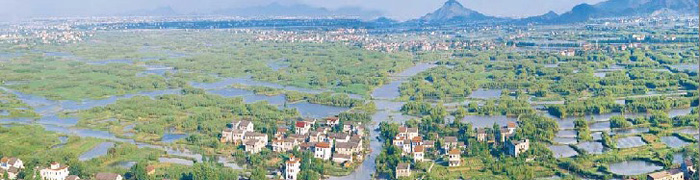 1528182942936500.jpg 20150112_61918.jpg